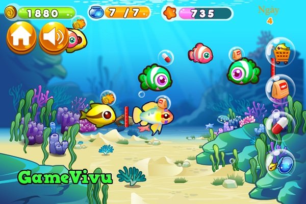 game Nuôi cá hình ảnh 1 game Nuôi cá hình ảnh 1