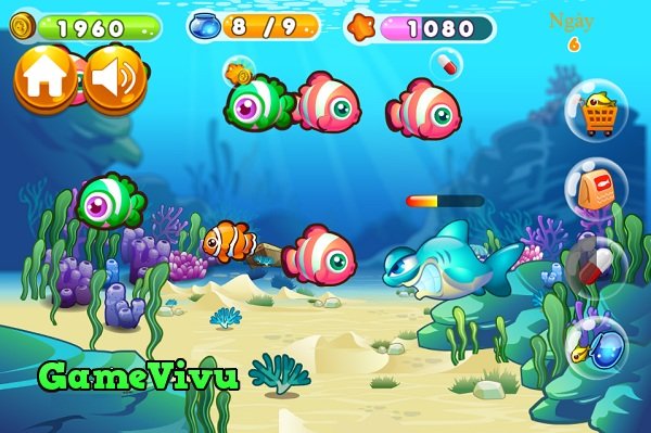 game Nuôi cá hình ảnh 3 game Nuôi cá hình ảnh 3