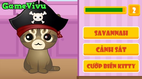 game Đoán mèo con kitty quiz game Đoán mèo con kitty quiz